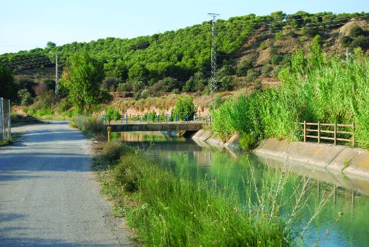 Puente sobre el canal de Zaidín